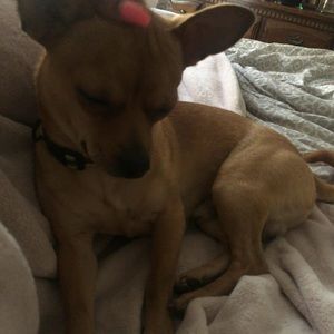 Meet your Posher, Cherie